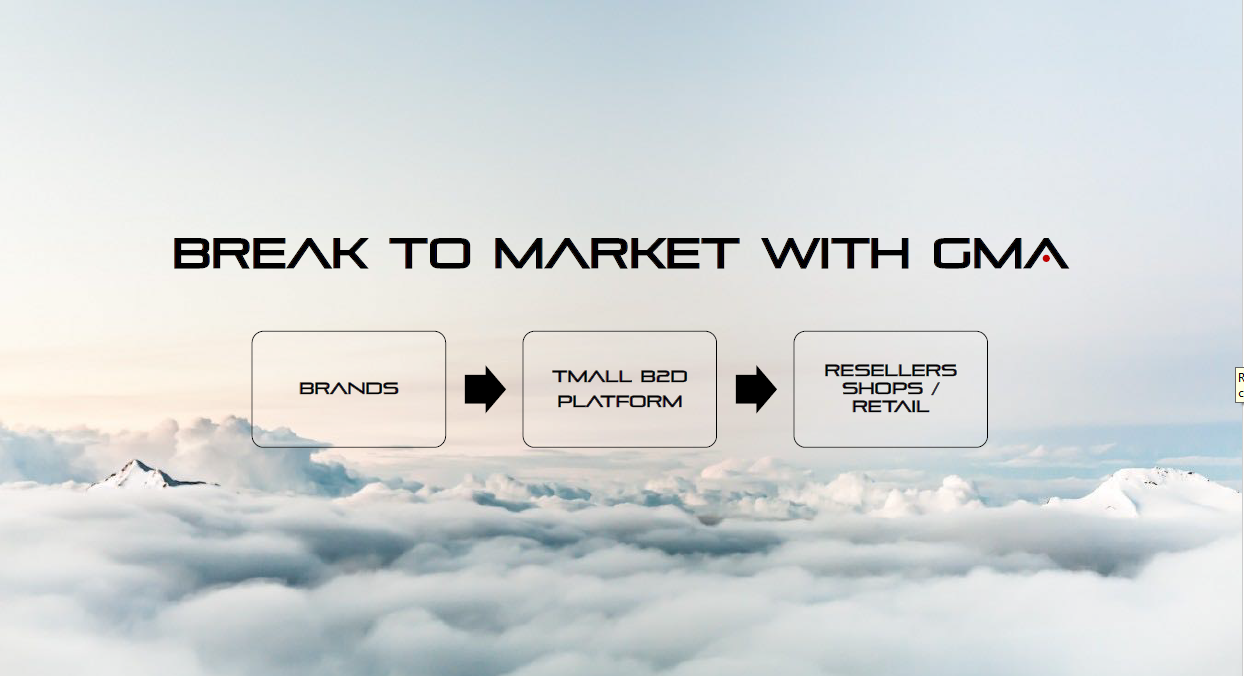 China Online Distributor for International Brands